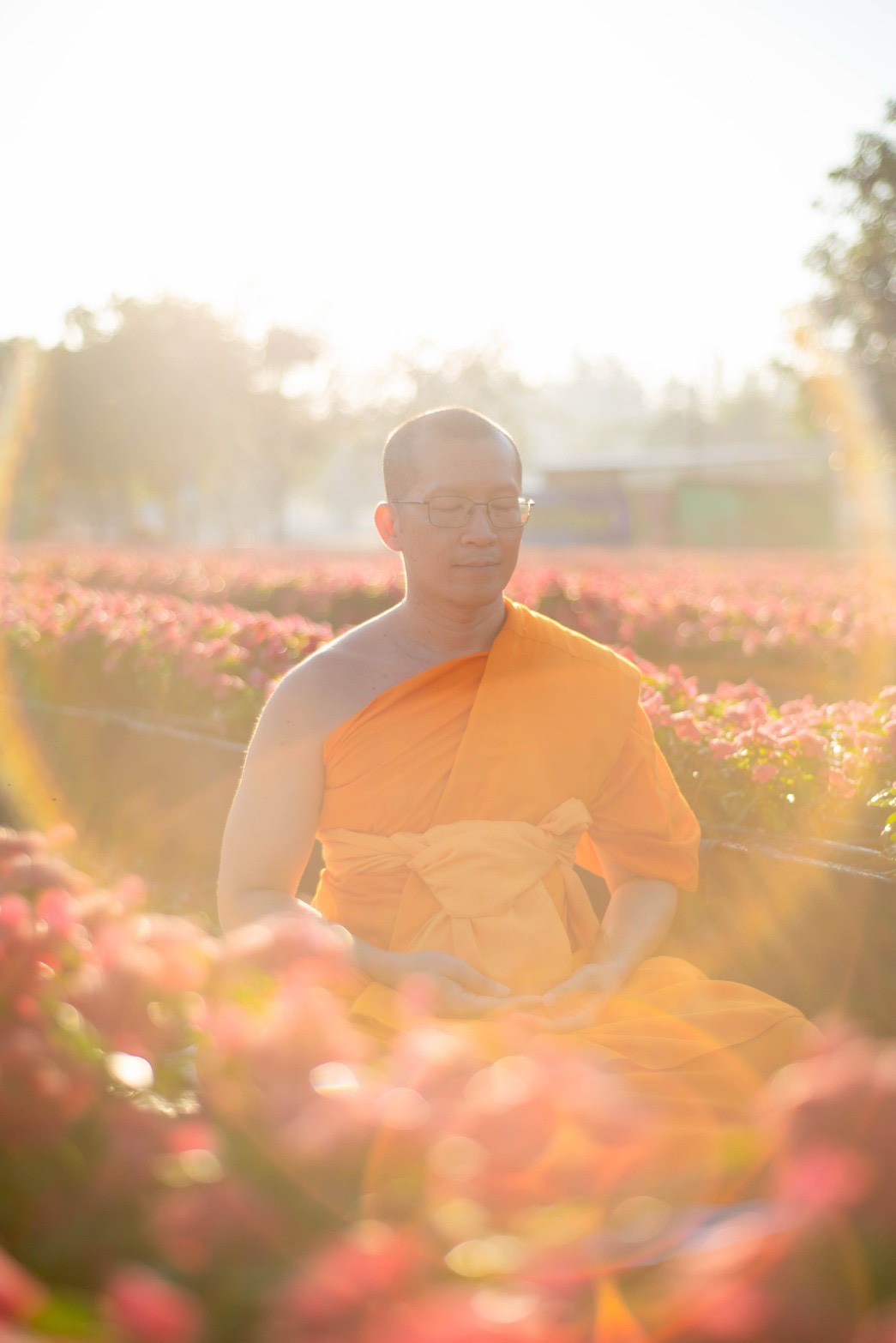 image from  至上之人