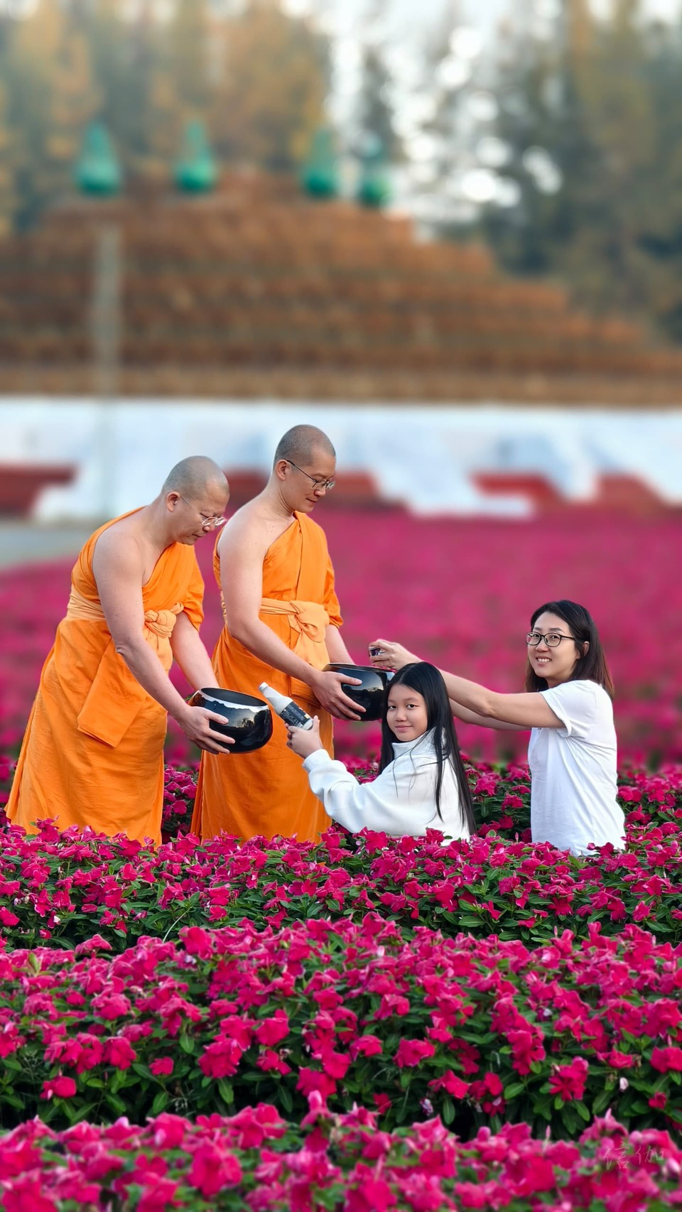 image from 布施的果报