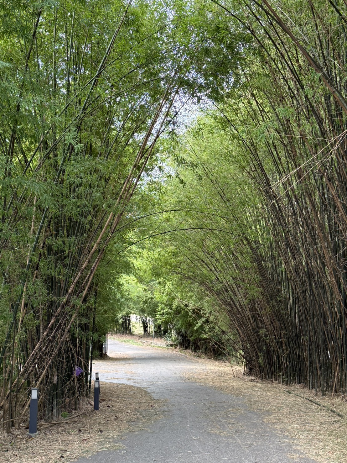 每日感悟｜四种适宜：真正幸福的起点